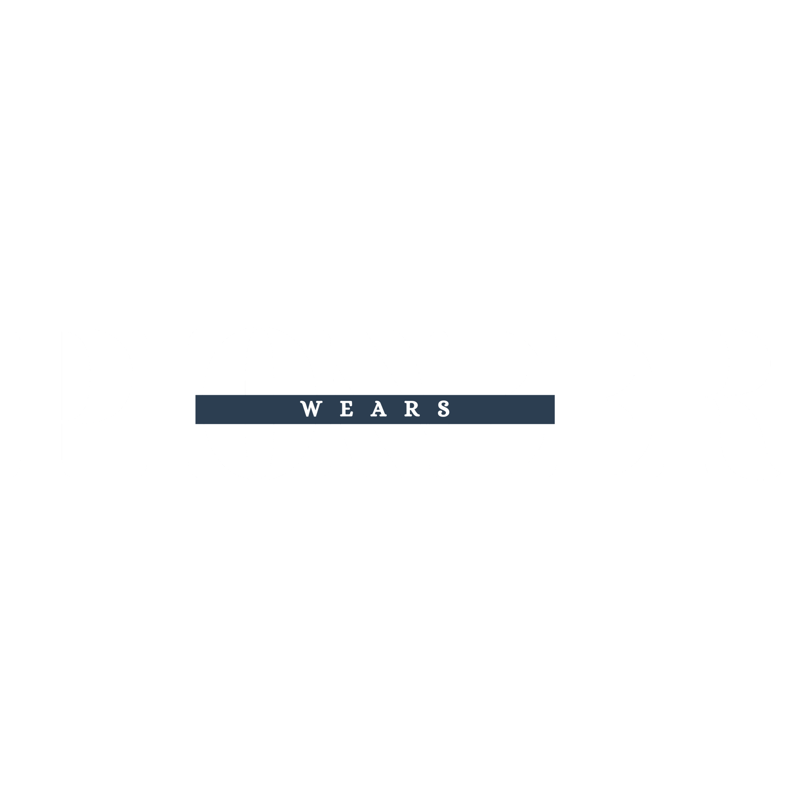 Pioneer4